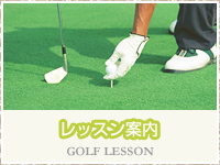 レッスン案内